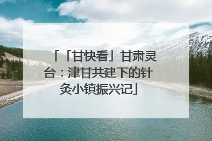「甘快看」甘肃灵台：津甘共建下的针灸小镇振兴记