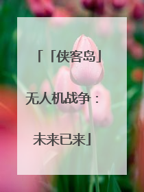 「侠客岛」无人机战争：未来已来