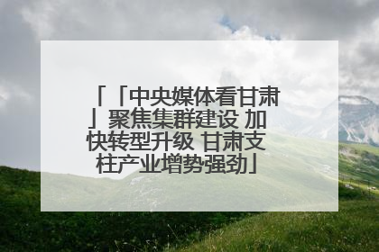 「中央媒体看甘肃」聚焦集群建设 加快转型升级 甘肃支柱产业增势强劲