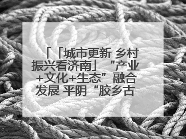 「城市更新 乡村振兴看济南」“产业+文化+生态”融合发展 平阴“胶乡古镇”探索振兴路径成效显著