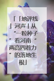 「地评线」河声丨从“一粒种子”看河南“两高四着力”的落地生根