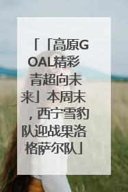 「高原GOAL精彩 青超向未来」本周末，西宁雪豹队迎战果洛格萨尔队