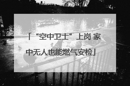 “空中卫士”上岗 家中无人也能燃气安检