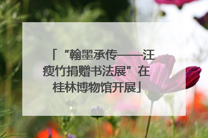 “翰墨承传——汪瘦竹捐赠书法展”在桂林博物馆开展