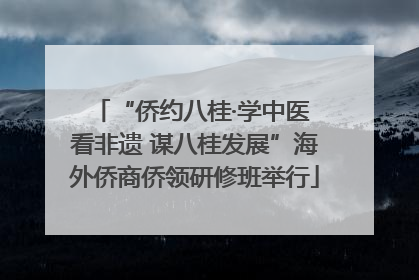 “侨约八桂·学中医 看非遗 谋八桂发展”海外侨商侨领研修班举行