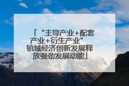 “主导产业+配套产业+衍生产业” 镇域经济创新发展释放强劲发展动能