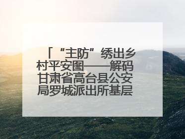 “主防”绣出乡村平安图——解码甘肃省高台县公安局罗城派出所基层治理新实践