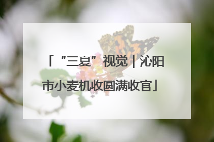 “三夏”视觉｜沁阳市小麦机收圆满收官