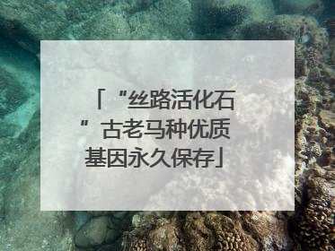 “丝路活化石”古老马种优质基因永久保存