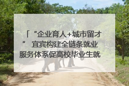 “企业育人+城市留才” 宜宾构建全链条就业服务体系促高校毕业生就业｜您牵挂的四川