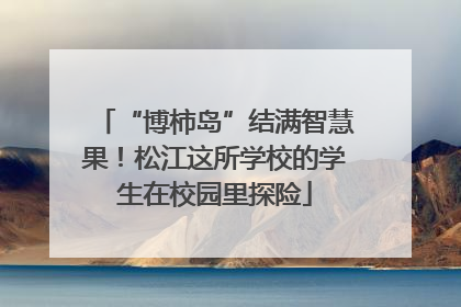 “博柿岛”结满智慧果！松江这所学校的学生在校园里探险