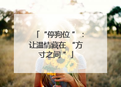 “停狗位 ”：让温情藏在 “方寸之间 ”