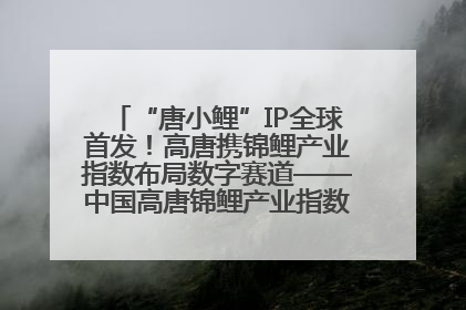 “唐小鲤”IP全球首发！高唐携锦鲤产业指数布局数字赛道——中国高唐锦鲤产业指数暨“唐小鲤”IP全球首发仪式在杭州举行