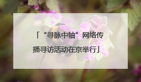 “寻脉中轴”网络传播寻访活动在京举行