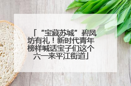 “宝藏苏城”碧凤坊有礼！新时代青年榜样喊话宝子们这个六一来平江街道