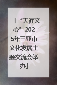 “天涯文心”2025年三亚市文化发展主题交流会举办