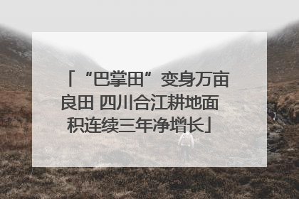 “巴掌田”变身万亩良田 四川合江耕地面积连续三年净增长