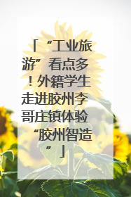 “工业旅游”看点多！外籍学生走进胶州李哥庄镇体验“胶州智造”