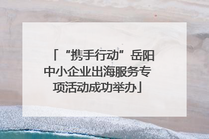 “携手行动”岳阳中小企业出海服务专项活动成功举办