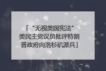 “无视美国宪法” 美民主党议员批评特朗普政府向洛杉矶派兵