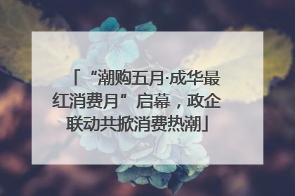 “潮购五月·成华最红消费月”启幕，政企联动共掀消费热潮