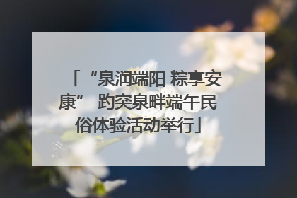 “泉润端阳 粽享安康” 趵突泉畔端午民俗体验活动举行