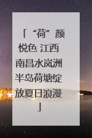 “荷”颜悦色 江西南昌水岚洲半岛荷塘绽放夏日浪漫