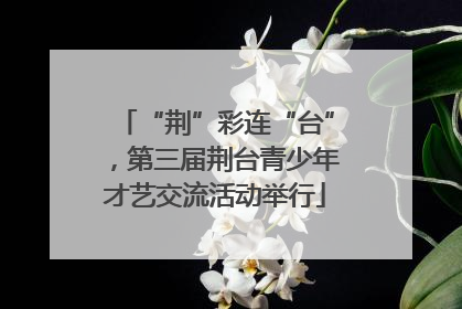 “荆”彩连“台”，第三届荆台青少年才艺交流活动举行