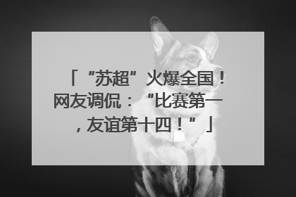 “苏超”火爆全国！网友调侃：“比赛第一，友谊第十四！”