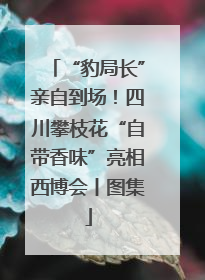 “豹局长”亲自到场！四川攀枝花“自带香味”亮相西博会丨图集