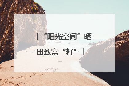 “阳光空间”晒出致富“籽”