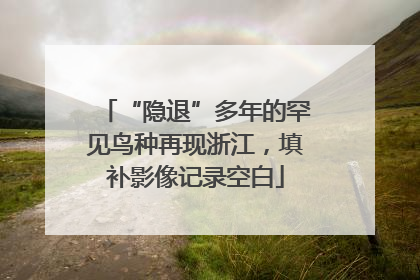 “隐退”多年的罕见鸟种再现浙江，填补影像记录空白