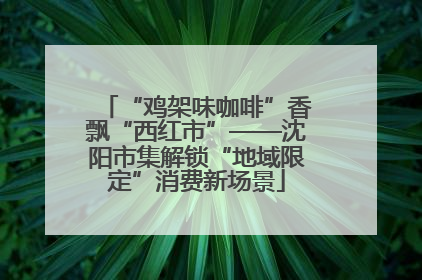 “鸡架味咖啡”香飘“西红市”——沈阳市集解锁“地域限定”消费新场景