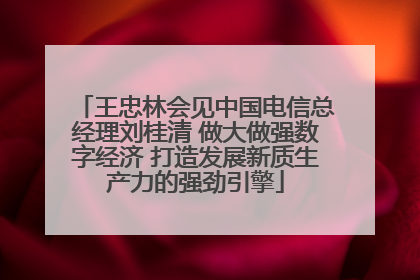 王忠林会见中国电信总经理刘桂清 做大做强数字经济 打造发展新质生产力的强劲引擎