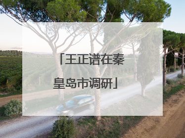 王正谱在秦皇岛市调研