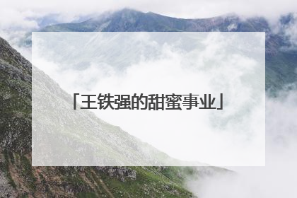王铁强的甜蜜事业