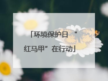 环境保护日 “红马甲”在行动