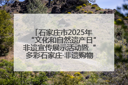 石家庄市2025年“文化和自然遗产日”非遗宣传展示活动暨“多彩石家庄·非遗购物节”倒计时1天
