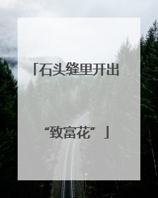 石头缝里开出“致富花”