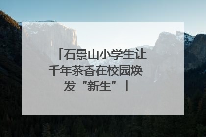 石景山小学生让千年茶香在校园焕发“新生”