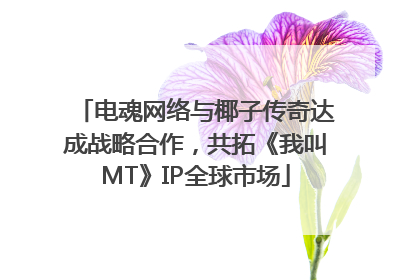 电魂网络与椰子传奇达成战略合作，共拓《我叫MT》IP全球市场