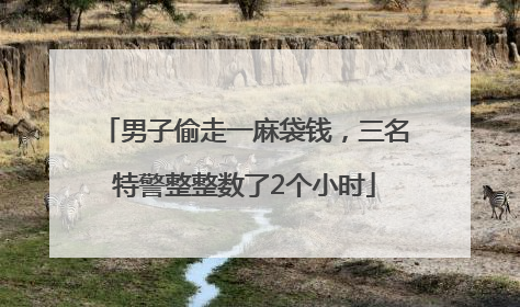 男子偷走一麻袋钱，三名特警整整数了2个小时