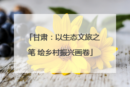 甘肃：以生态文旅之笔 绘乡村振兴画卷