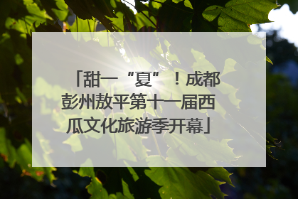 甜一“夏”！成都彭州敖平第十一届西瓜文化旅游季开幕