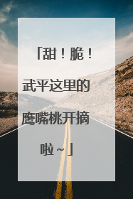甜！脆！武平这里的鹰嘴桃开摘啦～