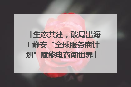 生态共建，破局出海！静安“全球服务商计划”赋能电商闯世界