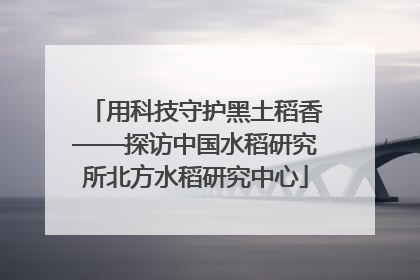 用科技守护黑土稻香——探访中国水稻研究所北方水稻研究中心