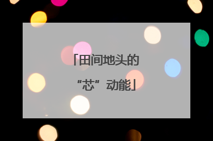 田间地头的“芯”动能