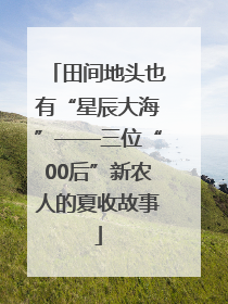 田间地头也有“星辰大海”——三位“00后”新农人的夏收故事