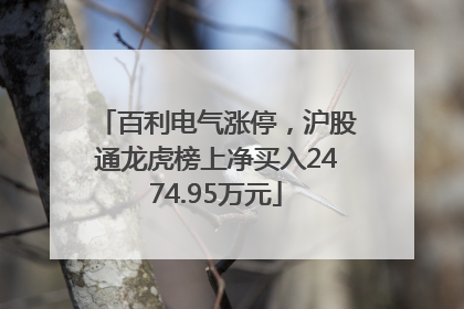 百利电气涨停，沪股通龙虎榜上净买入2474.95万元